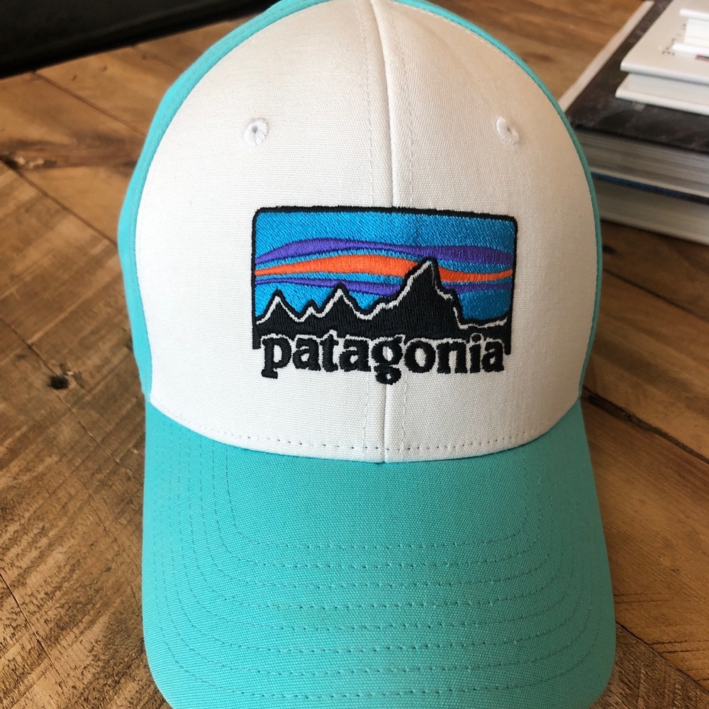 Patagonia Baseball Cap